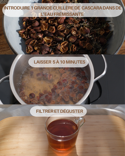Comment préparer la cascara
