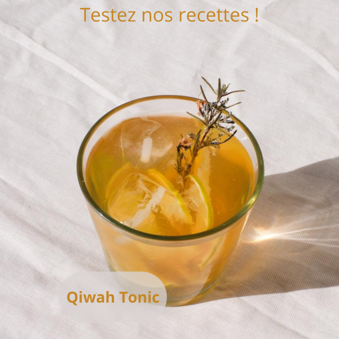 Qiwah - Pack Découverte